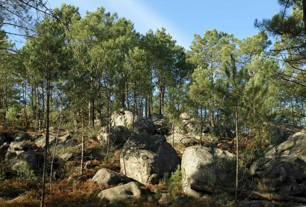 Maison De Campagne - Bois Le Roi 4 Pers Exterior foto
